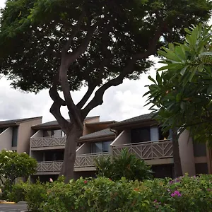 116 Apartment Kihei